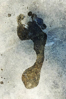 Wet Footprint on Pavement Wall Art