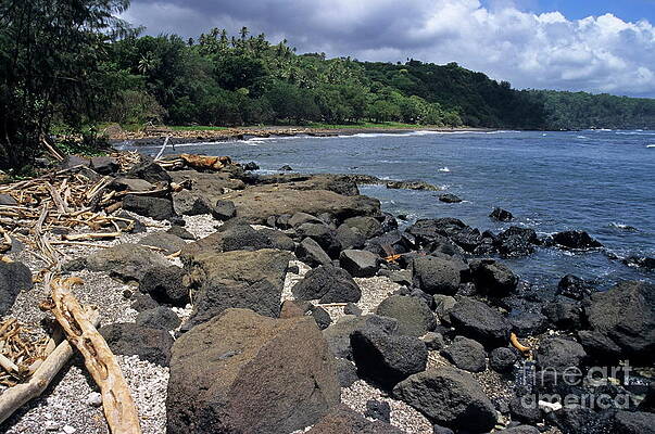 Beach Wall Art featuring the photograph Wild Beach by Sami Sarkis Photography