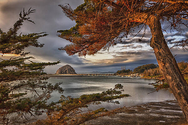 Sea Photograph - Windy Cove by Beth Sargent