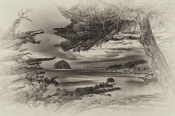 Sea Photograph - Windy Cove BW by Beth Sargent