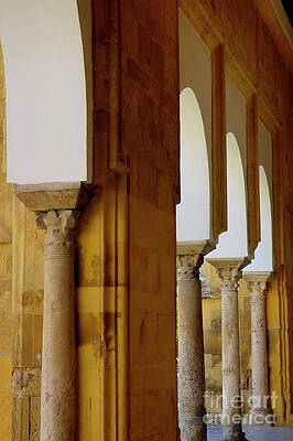 Wall Art featuring the photograph Arches Of The Patio De Los Naranjos In The Cathedral Of Cordoba #1 by Sami Sarkis Photography