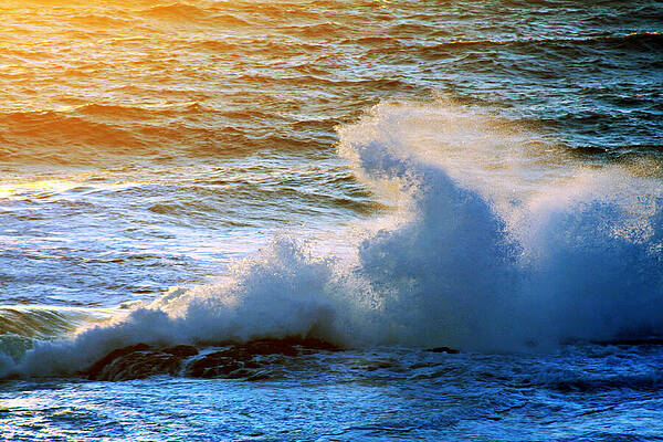 Nature Photograph - End Of The Day by Tatiana Travelways