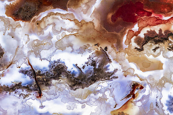 Earthy Abstract Patterns Photograph