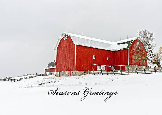 Winter Wall Art featuring the photograph Big Red Greeting Card by Steve L'Italien