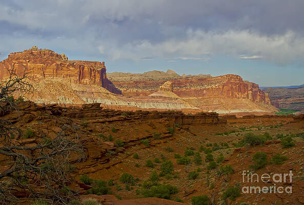 Wall Art featuring the photograph Capital Reef, Utah by Waterdancer