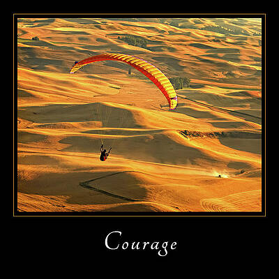 Wall Art featuring the photograph Courage 1 #1 by Mary Jo Allen