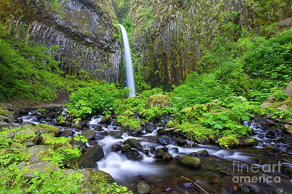 Oregon Photograph - Dry Creek Falls #1 by Bruce Block