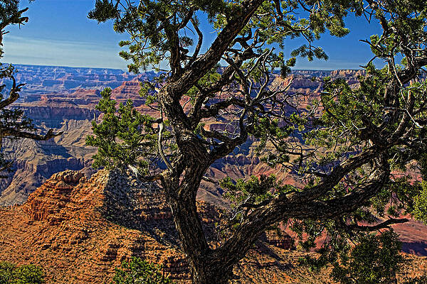 Mountain Wall Art featuring the photograph Grand Canyon Arizona #1 by Waterdancer
