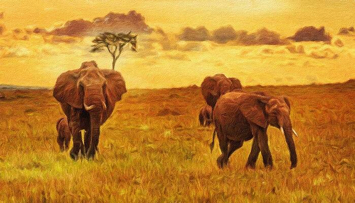 Digital Art - Herd Of Elephants At Sunset #1 by Miroslav Liska