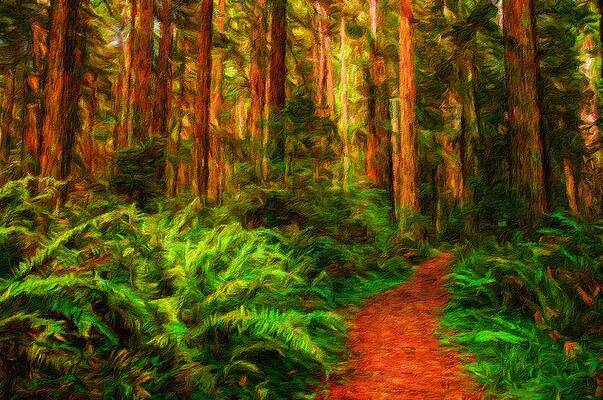 Digital Art - Hiking Path In Redwood Forest #1 by Miroslav Liska