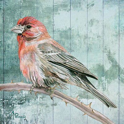 Wildlife Painting - House Finch by Angeles M Pomata