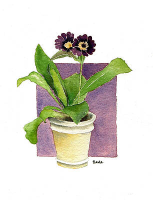 just the two of us by Catherine Bede