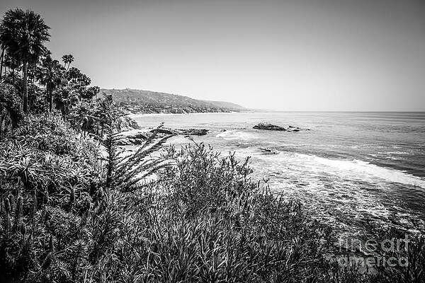 California Wall Art featuring the photograph Laguna Beach California Black And White Picture #1 by Paul Velgos