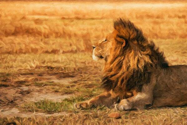 Digital Art - Lion Resting In The Ngorongoro Crater #1 by Miroslav Liska