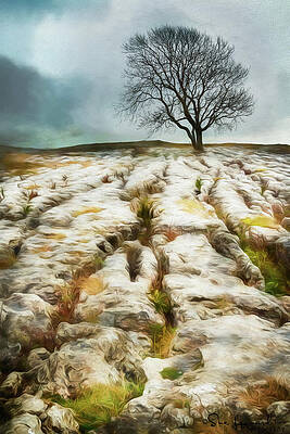 Country Wall Art featuring the photograph Painted Effect - Lone Tree by Sue Leonard