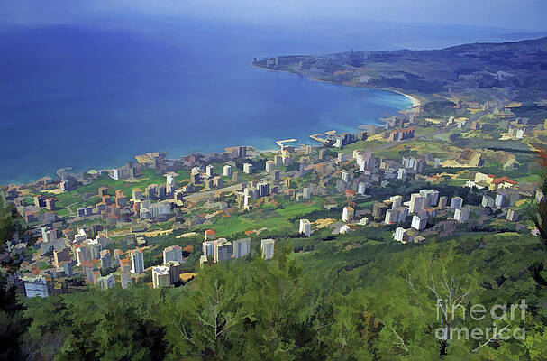 Coastal City Aerial View Wall Art