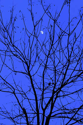 Mysterious Painting - Magic In The Moonlight #1 by AM FineArtPrints