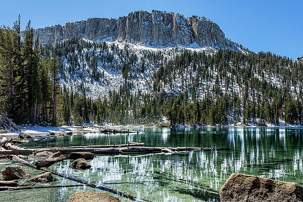 Winter Wall Art featuring the photograph McLeod Lake Winter by Kelley King