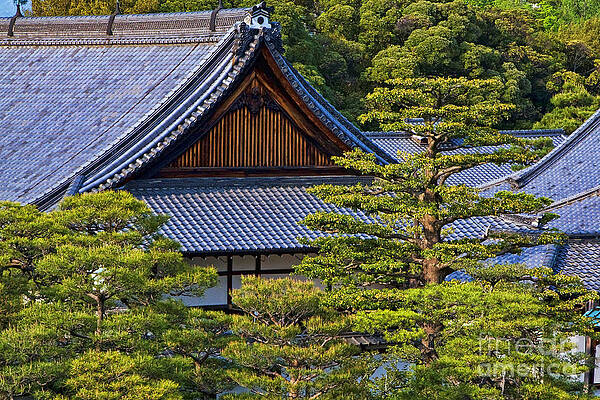 Flower Photograph - Nijo Castle Gardens Kyoto Japan #1 by Waterdancer