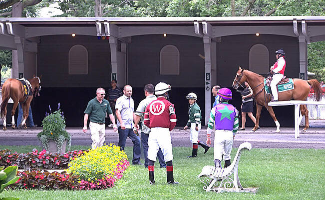 Photograph - Paddock by Robert Newman
