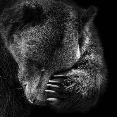 Bear Contemplating in Monochrome Wall Art