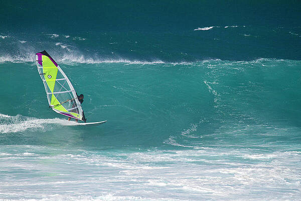 Athlete Wall Art featuring the photograph Pro Sailboarder Maui #1 by Waterdancer