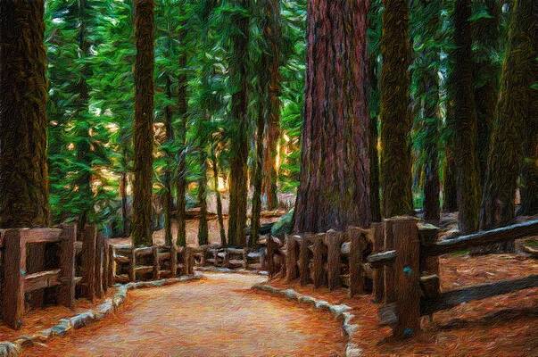 Digital Art - Redwood Trail In A Sequoia Park #1 by Miroslav Liska