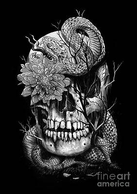 Snake and Skull by Nicebleed 