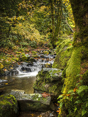 Water Wall Art featuring the photograph Starvation Creek #1 by Jean Noren