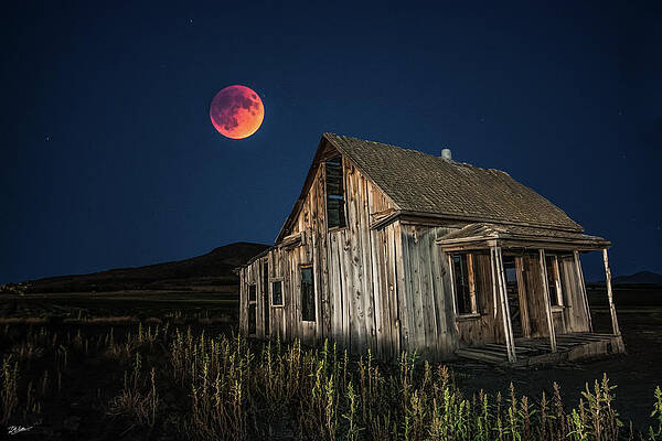 Moonlit Abandoned Cabin Wall Art