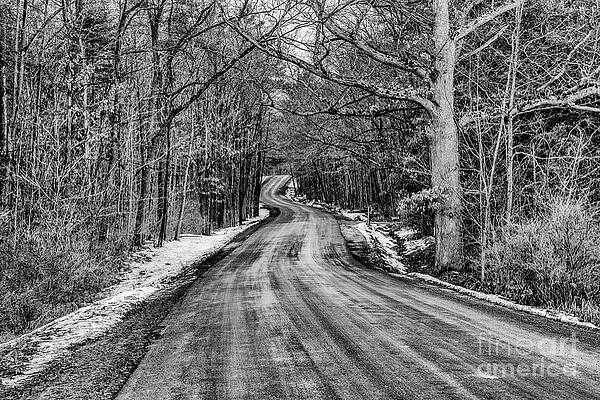 Winter Photograph - Through The Woods #1 by William Norton