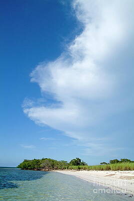 Beach Wall Art featuring the photograph Transparent Water And White Sandy Beach #1 by Sami Sarkis Photography