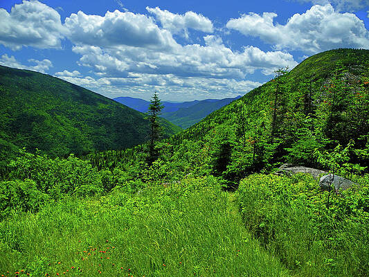 White Mountains #2 Print