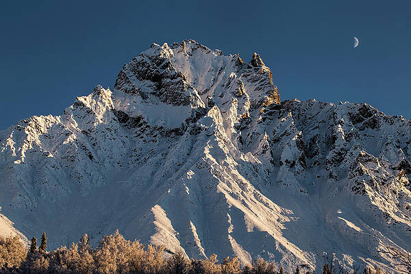 Wall Art featuring the photograph Williams Peak #1 by Fred Denner