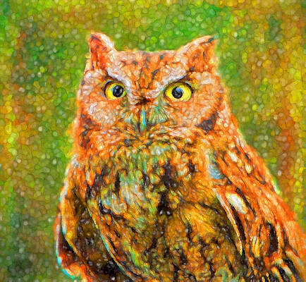 Natural Photograph - Wise Eyes #1 by Mary Jo Allen