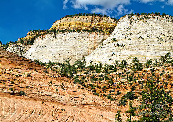 Wall Art featuring the photograph Zion Park Utah #3 by Waterdancer