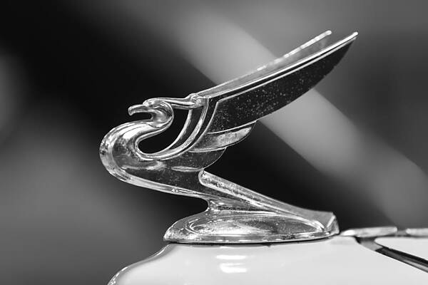 Black And White Wall Art featuring the photograph 1934 Chevy Deluxe by Bill and Linda Tiepelman