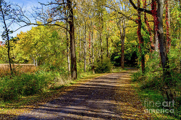 Fall Photograph - Along The Way #2 by William Norton