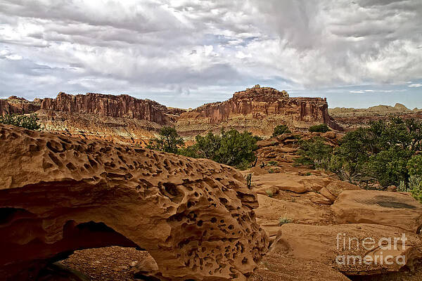 Wall Art featuring the photograph Capital Reef, Utah #2 by Waterdancer