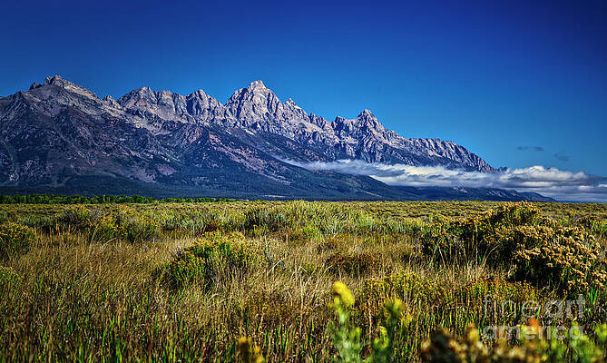 Summer Photograph - Early Morning In The Grand Tetons #2 by Bruce Block