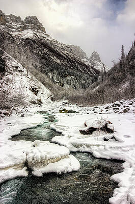 Photograph - Freeze-up At Dan Creek #1 by Fred Denner