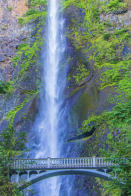 Tree Wall Art featuring the photograph Multnomah Falls Bridge #2 by Jonny D
