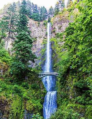 Tree Wall Art featuring the photograph Multnomah Falls #2 by Jonny D