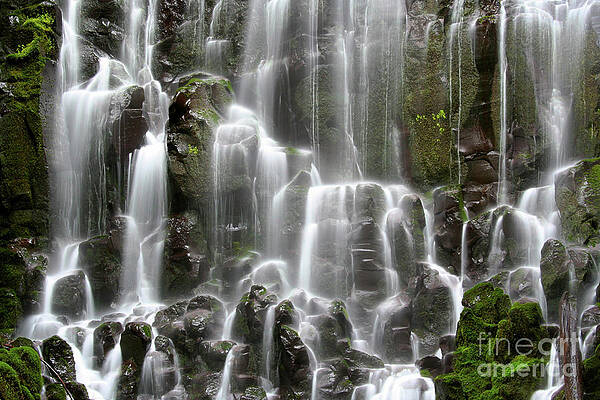 Oregon Photograph - Ramona Falls #2 by Bruce Block