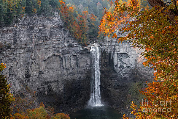 Fall Photograph - Taughannock Gorge #2 by William Norton