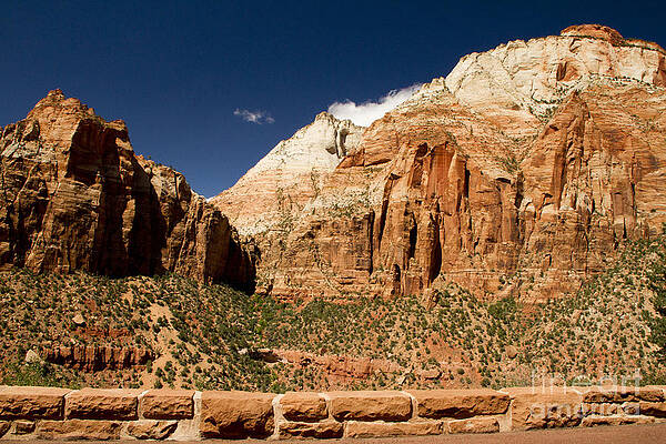 Wall Art featuring the photograph Zion Park Utah by Waterdancer