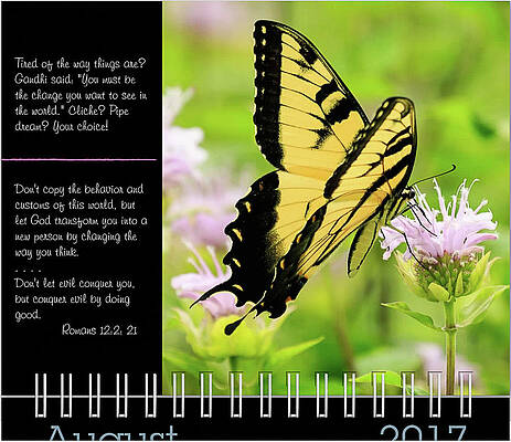 Inspirational Photograph - 2017 Inspirational Calendar Preview - August by Joni Eskridge