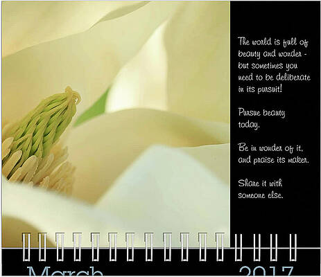 Inspirational Photograph - 2017 Inspirational Calendar Preview - March by Joni Eskridge