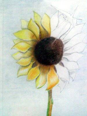 Wall Art featuring the drawing Untitled  #29 by Donald C-Note Hooker