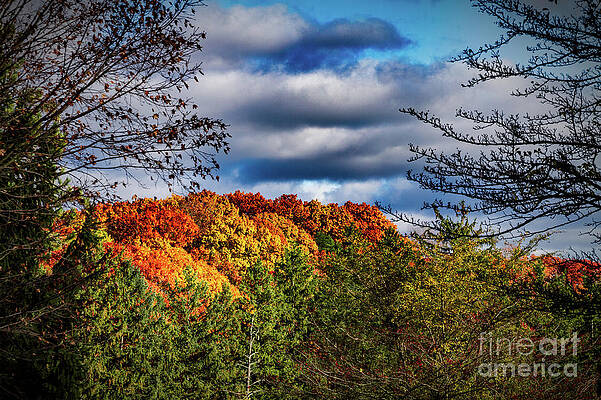 Fall Photograph - Fall Foliage #3 by William Norton